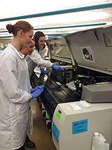 medical laboratory scientist team on the job