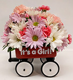 a tiny red wagon with flowers in it, and the words It's a Girl written on the side