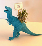 a dinosaur figure with a decorative air plant 