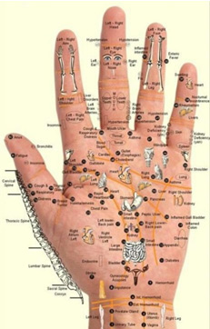 accupressure chart of a hand